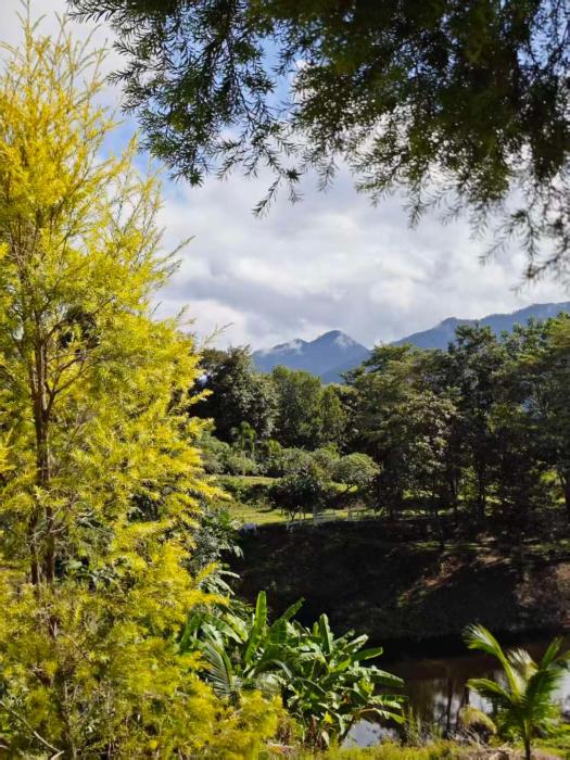 the moon rabbit resort pai