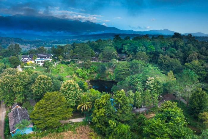 the moon rabbit resort pai