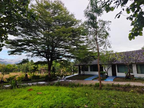 the moon rabbit resort pai