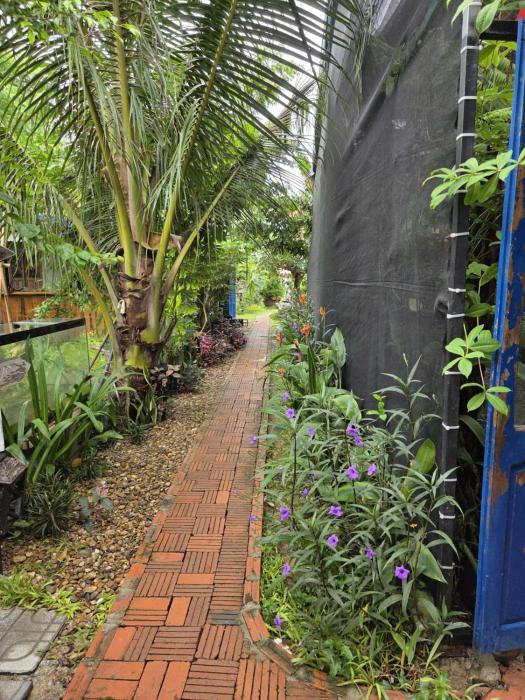 memories hoi an villa