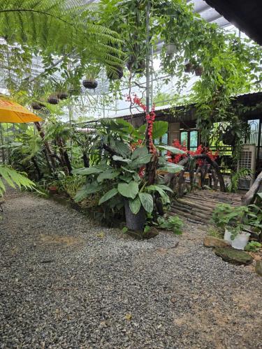 memories hoi an villa