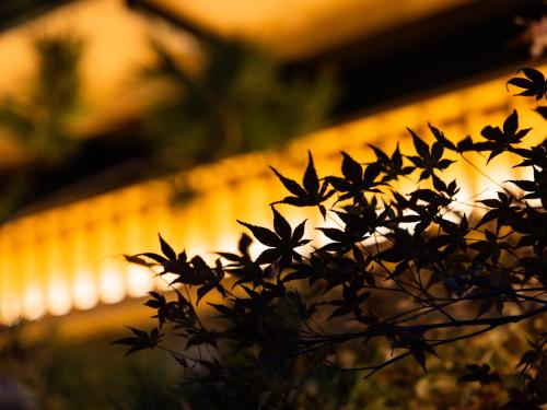 kyoto