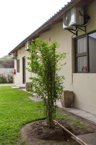 moxwini self catering apartments