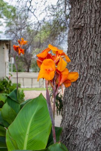 moxwini self catering apartments