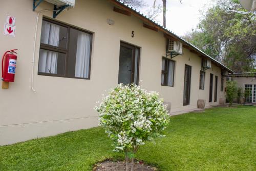 moxwini self catering apartments