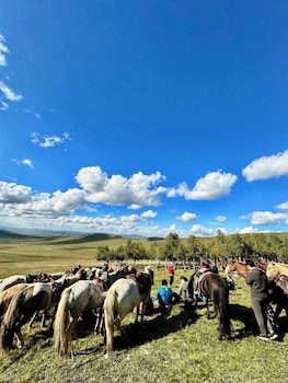 mongol nomadic tourist camp