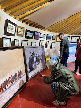 mongol nomadic tourist camp