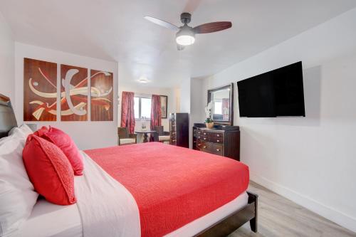 leeward motel by capital o north miami beachside