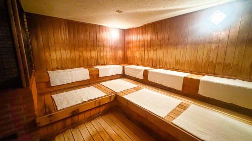 livemax resort hidatakayama garyunosato
