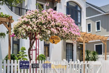 suri villa