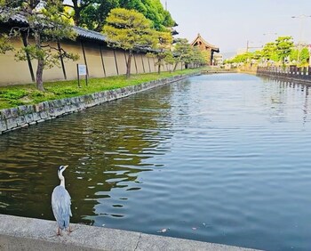 the kagaya kyoto hachijokuchi