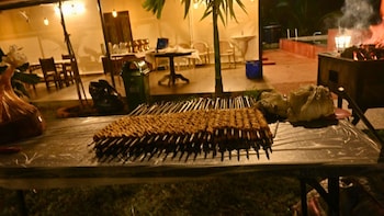 jungle farms by maark inn