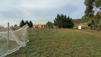 charles reuben estate