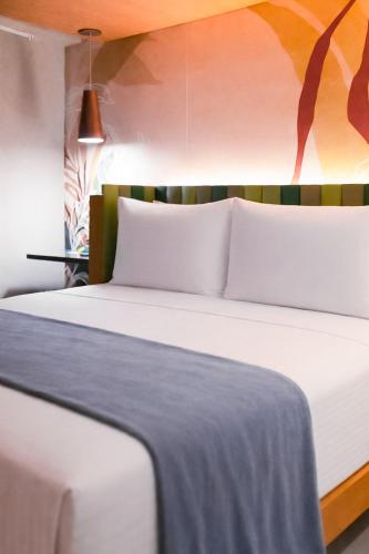 motto by hilton recife