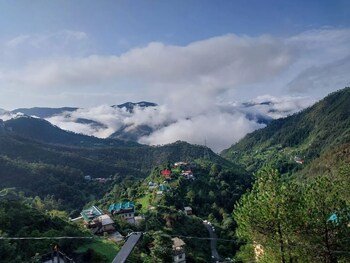 cds luxury homestay shimla