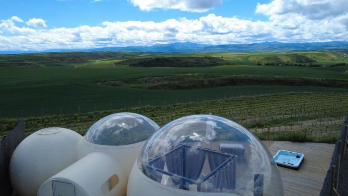 wine bubble