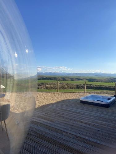 wine bubble