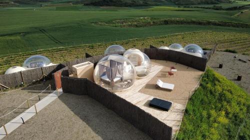 wine bubble