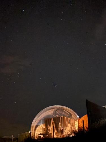wine bubble