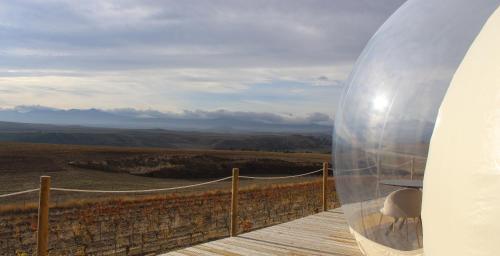 wine bubble