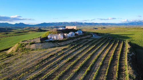 cuzcurrita de rio tiron
