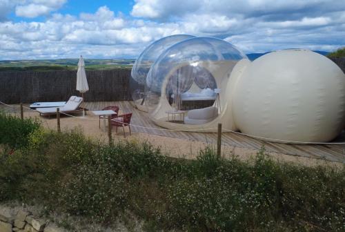 wine bubble