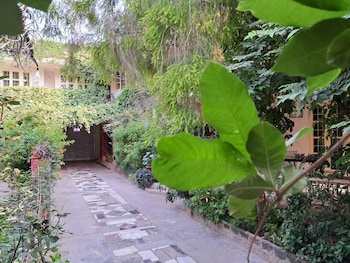 vijayas homestead