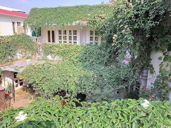 vijayas homestead