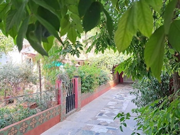 vijayas homestead