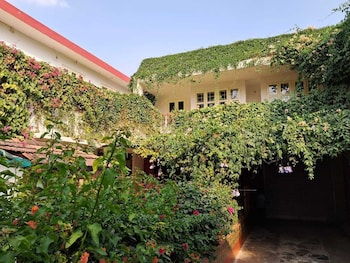 vijayas homestead