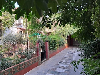 vijayas homestead