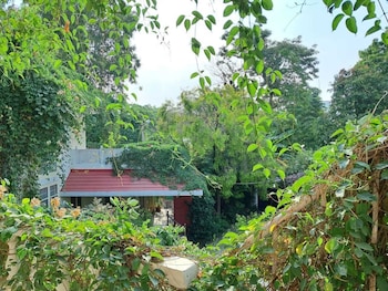 vijayas homestead