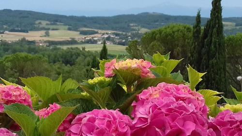 chateau de roques