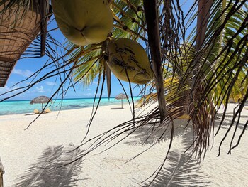 Te Manu Lodge Tikehau,,3 star
