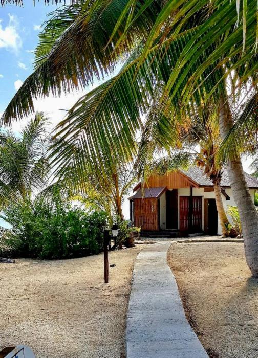 te manu lodge tikehau