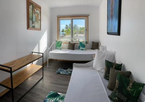te manu lodge tikehau