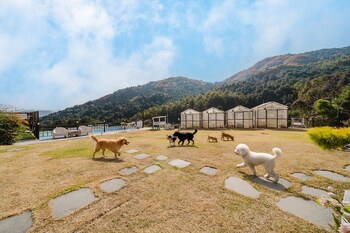 gapyeong gaedaek pension
