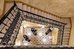 hotel moments budapest