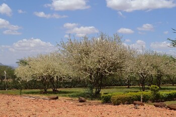 northgate resort isiolo