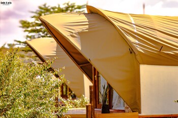 hotel white sandcastle mara lodge