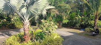 krasom homestay