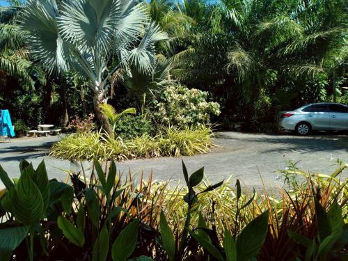krasom homestay