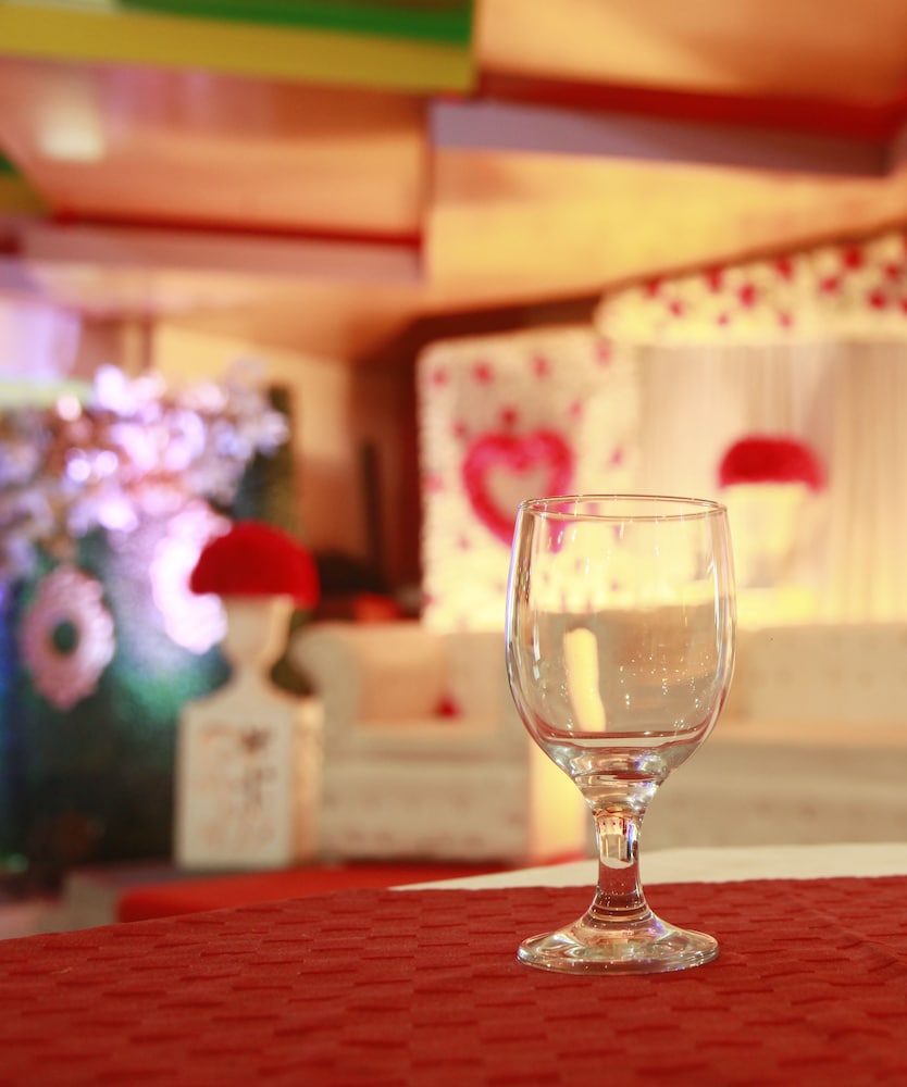 hotel metro international