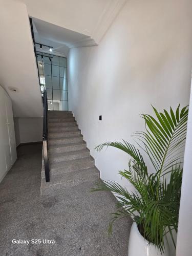decorum apartments