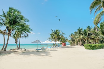 reef haven belize
