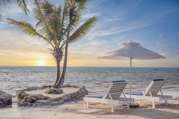 reef haven belize