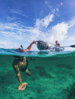 reef haven belize