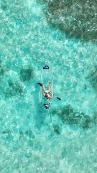 reef haven belize