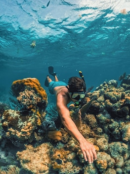 reef haven belize