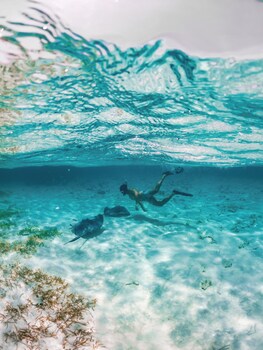 reef haven belize